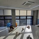 웃는강아지 | 관악구애견호텔 우리 강아지가 웃는 공간, 스마트독에 다녀온 후기