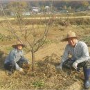 김명수농장 이미지