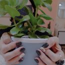 애린네일 이미지