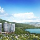 숲속의아침 이미지