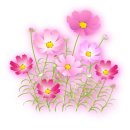 뽄쟁이 - 서귀포시 표선중앙로90번길 10 | 뽄쟁이