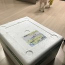 컨트리팜 이미지