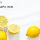 고고커피 네이버블로그