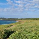 해안로1 이미지