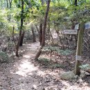 삼거리식당 옆 이미지