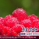 장사농장 이미지