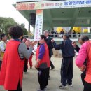 정선 공설운동장 이미지