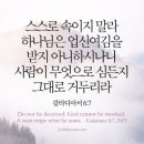 떼섬 네이버블로그