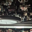 마이 비어타임(My beertime) | MSC 크루즈 식사 후기｜정찬식당·뷔페·룸서비스 솔직 비교