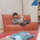 부엉이어린이도서관 | 초등 책 &amp; 전집대여 업체비교; 내돈내산 똑똑한 부엉이 후기