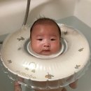 퉁퉁왕족발 | 일주일이 후딱 지나가버려.