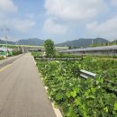 늘푸른환경 주식회사 이미지