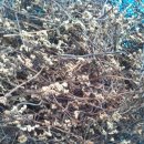 원영농장 이미지