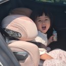 싸이벡스 솔루션T 주니어카시트 키작은 5살 여자아이 1년 사용후기