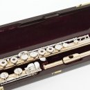 플룻 (B)? 이미지