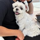 푸르댕댕 이미지