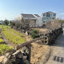 인혜의원 이미지