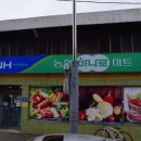 물금농협 본점 네이버블로그