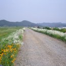 함안 군민화합 건강걷기대회 31일 법수면서 이미지