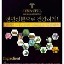 제나셀 이미지