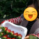 아침이슬농장 이미지