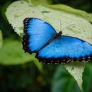 한국폴리텍 I 대학 성남캠퍼스 이미지