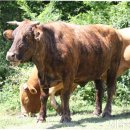 형민농장2 이미지