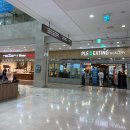 인제대학교해운대백병원 | [갑상선 전원 기록 #2] 해운대백병원 첫 CT•피검사 추적검사 비용 및 후기