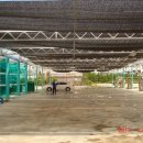 버블셀프세차장 이미지