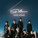 Sorry, Sorry - 슈퍼주니어 (SUPER JUNIOR ) 이미지