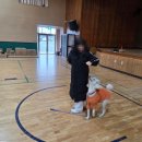 인상고등학교 이미지