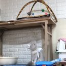 언니네 운동장 이미지