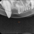 포레브동물의료센터 이미지