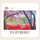 완산-1 | 전주 완산칠봉꽃동산 겹벚꽃 만개한 가족 봄나들이 (주차 + 개화 실시간)
