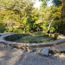 순천-46호 이미지