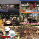 지니어스투어 - 강남구 언주로86길 31 | 지니어스투어