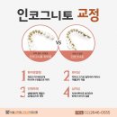 서울41치과교정과치과의원 네이버블로그