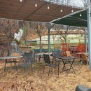 파주한뚝배기순대국 | 인천 서구 천지순대국 소머리국밥 방문 후기