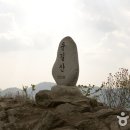 금백농장 티스토리