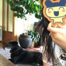 오엠지비즈 | 🐕굥이의 혼여 2번째💕-난.후쿠오카.프.로.혼.여.행.자.라구?-#2일차
