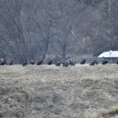 회천식당 이미지