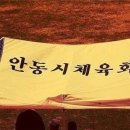 털보 이미지