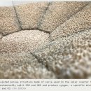 유가 태양광 이미지