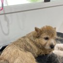 두루몽실 이미지