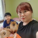 양양 해오름 펜션 이미지