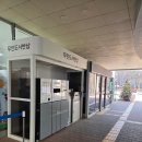 과천시 정보과학도서관 | 아이랑 가기 좋은 과천 정보도서관 어린이 도서관 리모델링 완료 후기