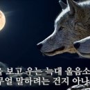 바람빛깔