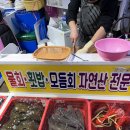명희네만세회센타 이미지