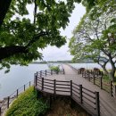 배알도수변공원(1-캠핑장) 이미지