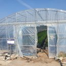 곡성-243 이미지